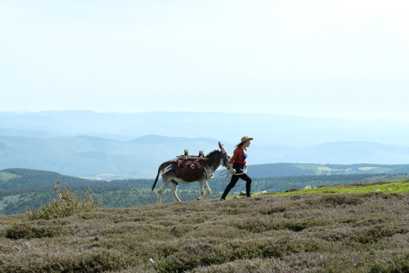 Image du film Antoinette dans les Cévennes